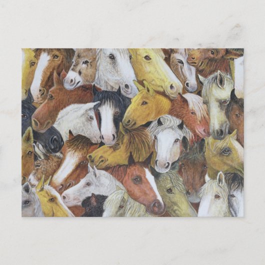 Paarden Briefkaart (Voorkant)