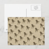 Paarden Briefkaart (Voorkant / Achterkant)