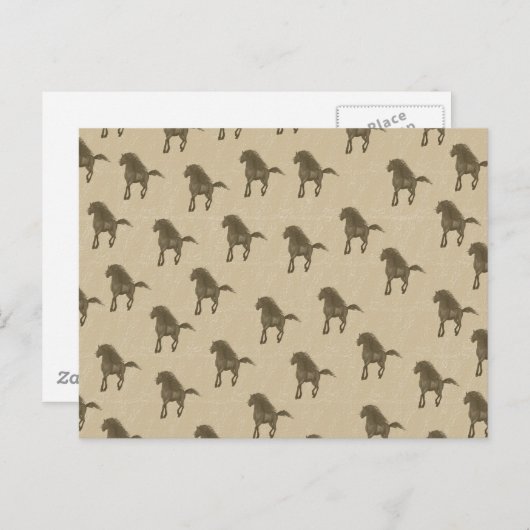 Paarden Briefkaart (Voorkant / Achterkant)