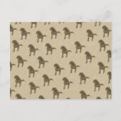 Paarden Briefkaart (Voorkant)