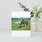 Paarden Briefkaart (Staand voorkant)