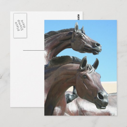 Paarden Briefkaart (Voorkant / Achterkant)