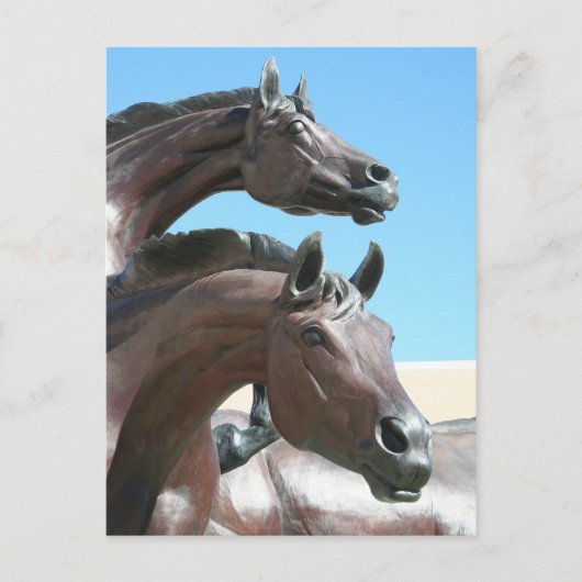 Paarden Briefkaart (Voorkant)