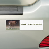 Paarden Bumpersticker (Op auto)
