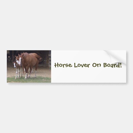 Paarden Bumpersticker (Voorkant)