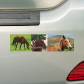 Paarden Bumpersticker (Op auto)
