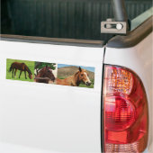 Paarden Bumpersticker (Op Truck)