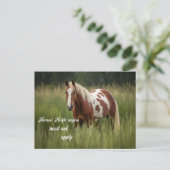 Paarden Buren hoeven niet toe te passen Pinto Briefkaart (Staand voorkant)