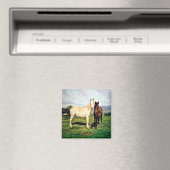 Paarden/Cabalos/Horses Magneet (Insitu (Vaatwasser))