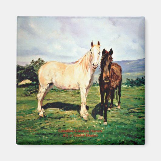 Paarden/Cabalos/Horses Magneet (Voorkant)