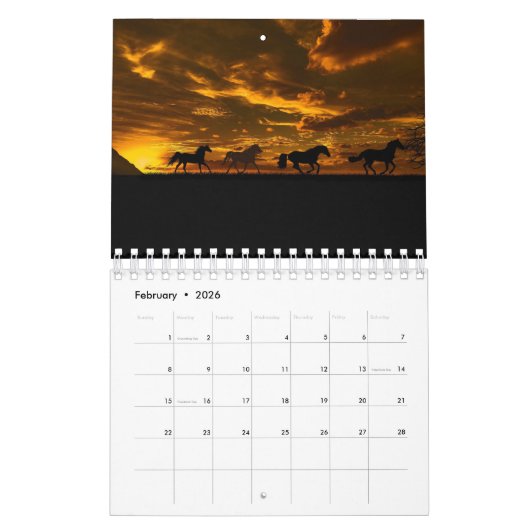 Paarden Calendars-2018 Beauful Afbeeldingen of Hor Kalender (Feb 2026)
