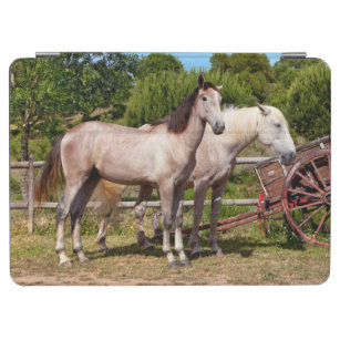 Paarden, Cercal, Alentejo, Portugal iPad Air Cover