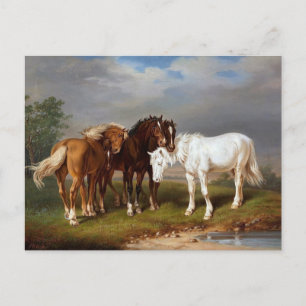 Paarden circa 1864 briefkaart