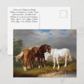 Paarden circa 1864 briefkaart (Voorkant / Achterkant)