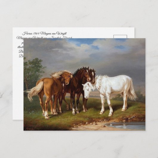Paarden circa 1864 briefkaart (Voorkant / Achterkant)