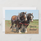 Paarden Clydesdale Farming Foto van Birthday Kaart (Voorkant)
