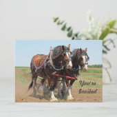 Paarden Clydesdale Farming Foto van Birthday Kaart (Staand voorkant)
