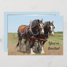 Paarden Clydesdale Farming Foto van Birthday Kaart