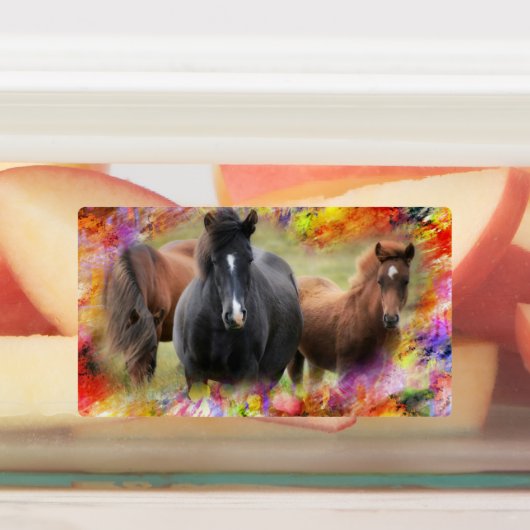 Paarden Colorful Labels (Aangebracht)