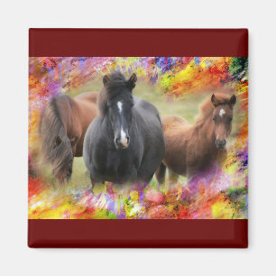 Paarden Colorful Magneet