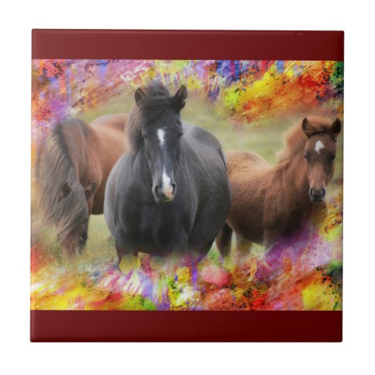 Paarden Colorful Tegeltje (Voorkant)