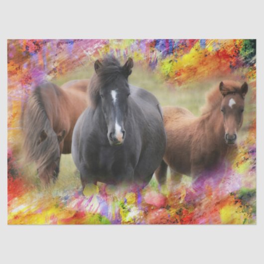 Paarden Colorful Tissuepapier (Voorkant)