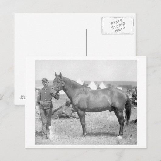 Paarden "Comanche" de enige overlevende van de Cus Briefkaart (Voorkant / Achterkant)