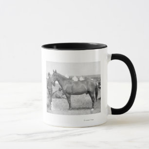 Paarden "Comanche" de enige overlevende van de Cus Mok