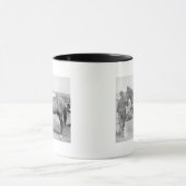 Paarden "Comanche" de enige overlevende van de Cus Mok (Midden)