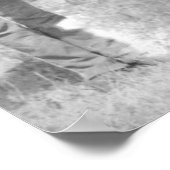 Paarden "Comanche" de enige overlevende van de Cus Poster (Hoek)