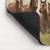 Paarden cresting kleine heuvel tijdens afronding muismat (Hoek)