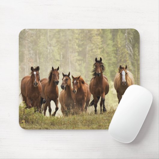 Paarden cresting kleine heuvel tijdens afronding muismat (Met muis)