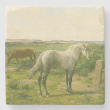 Paarden Dichtbij de Kust (door Rosa Bonheur)