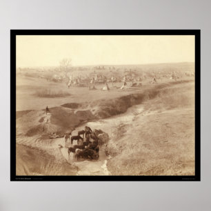 Paarden die aan de White Clay Creek SD 1891 zwemme Poster