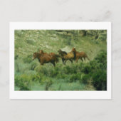 Paarden die Briefkaart lopen (Voorkant)