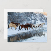 Paarden die de Creek passeren Briefkaart (Voorkant / Achterkant)