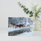 Paarden die de Creek passeren Briefkaart (Staand voorkant)