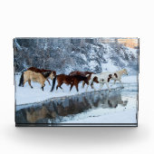 Paarden die de kreek oversteken fotoblokken (Voorkant)