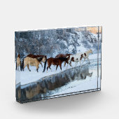 Paarden die de kreek oversteken fotoblokken (Links)