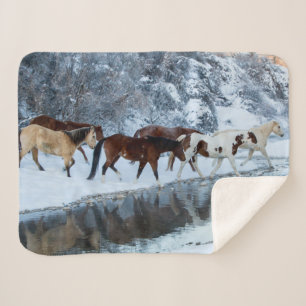 Paarden die de kreek oversteken sherpa deken