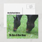 Paarden die de Nieuwe Natuur van het Adres grazen Aankondigingskaart (Voorkant / Achterkant)