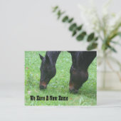 Paarden die de Nieuwe Natuur van het Adres grazen Aankondigingskaart (Staand voorkant)