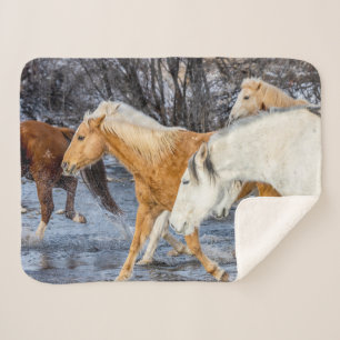 Paarden die de stroom oversteken sherpa deken