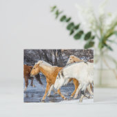 Paarden die de stroom passeren briefkaart (Staand voorkant)