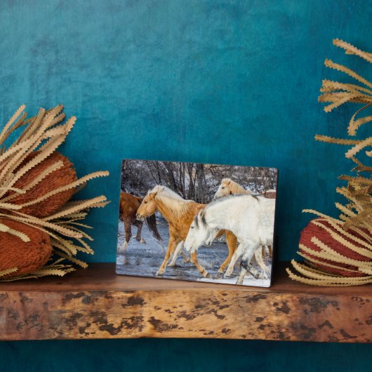 Paarden die de stroom passeren fotoplaat (Zijkant)