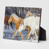 Paarden die de stroom passeren fotoplaat (Zijkant)