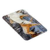 Paarden die de stroom passeren magneet (Rechterzijde)