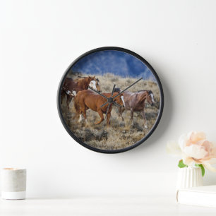 Paarden die door de heuvels zwerven