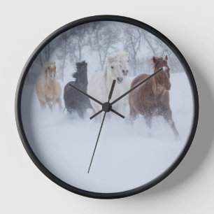 Paarden die door de sneeuw rennen