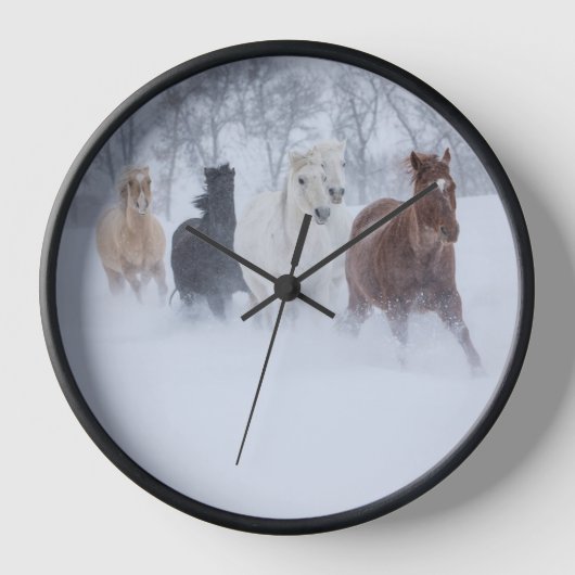 Paarden die door de sneeuw rennen (Voorkant)